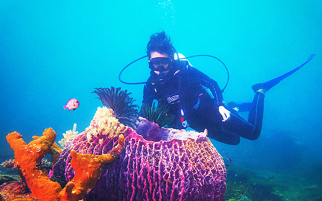 The Coral Nurseries: How Seven Island Retreats Are Rebuilding the Reefs They Depend On