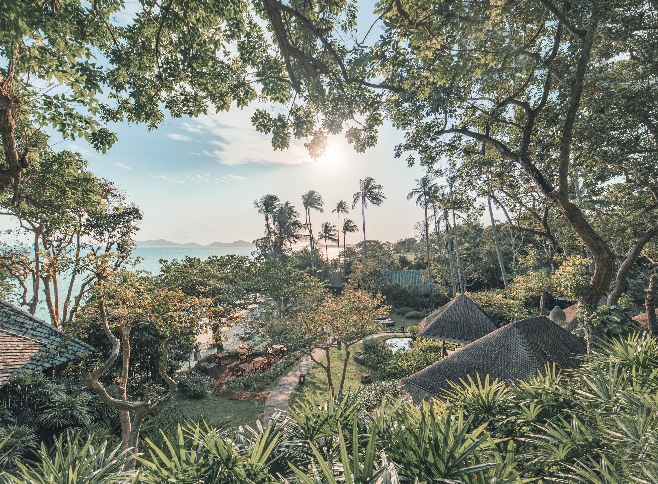 A view through tree branches over thatched roofs, palm trees and gardens towards the sea at Kamalaya on Koh Samui.