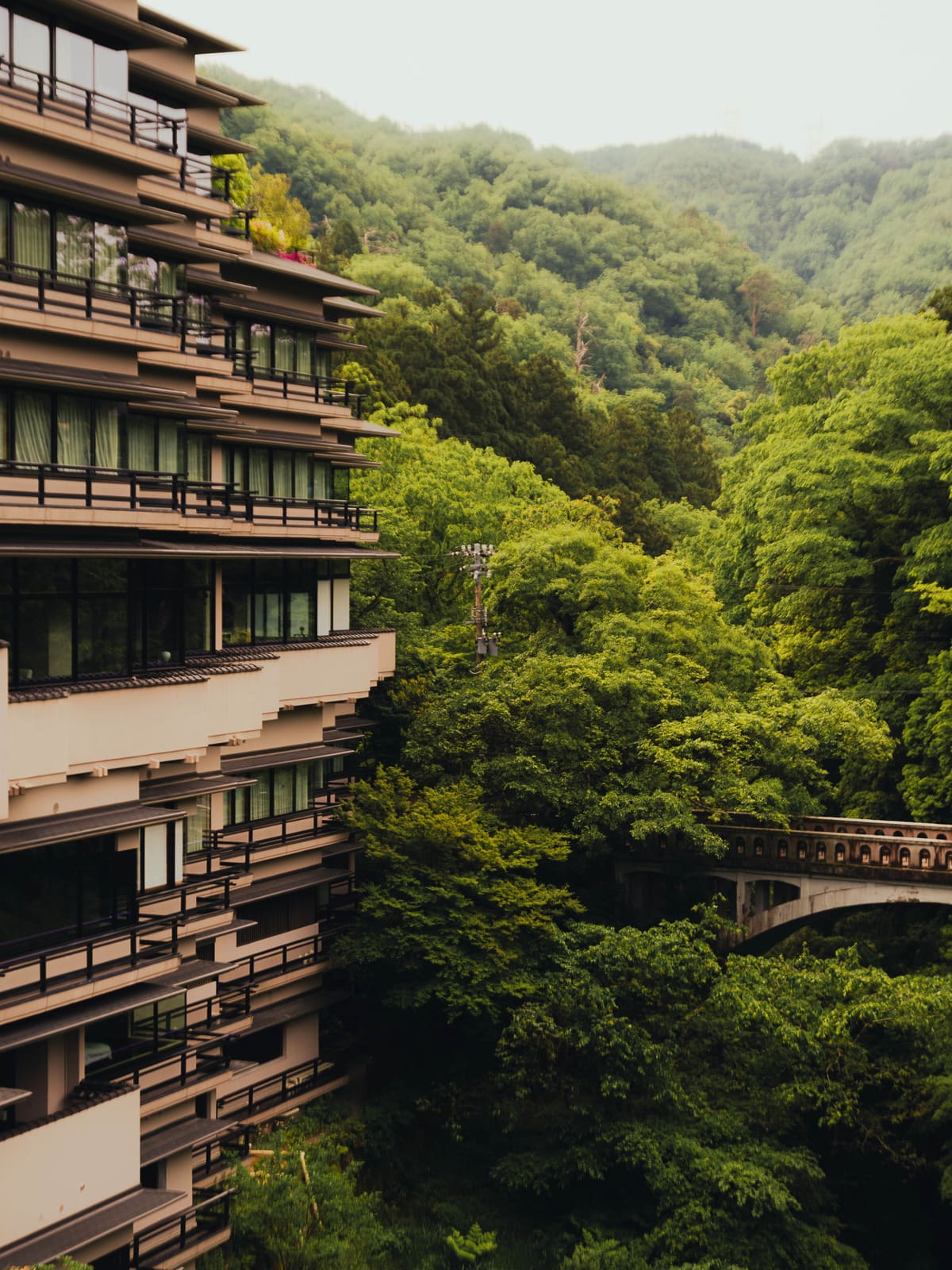 The Pilgrimage Japan Forgot: Hokuriku's Mountain Valleys and Quiet Temples