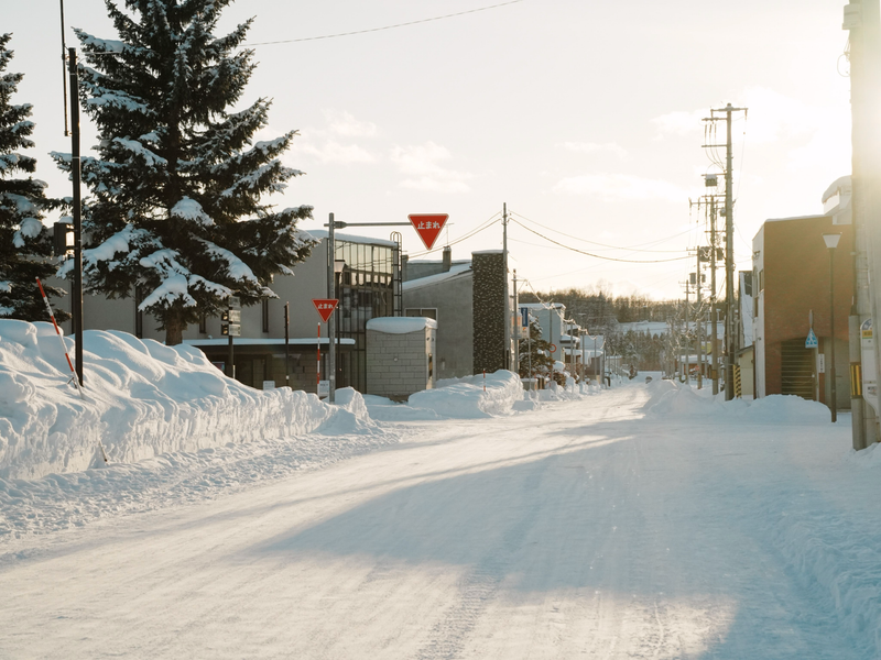 A snow-lined street in late-afternoon sun, with tall snowbanks on the left, a snow-laden fir tree and red triangular stop signs above the road.