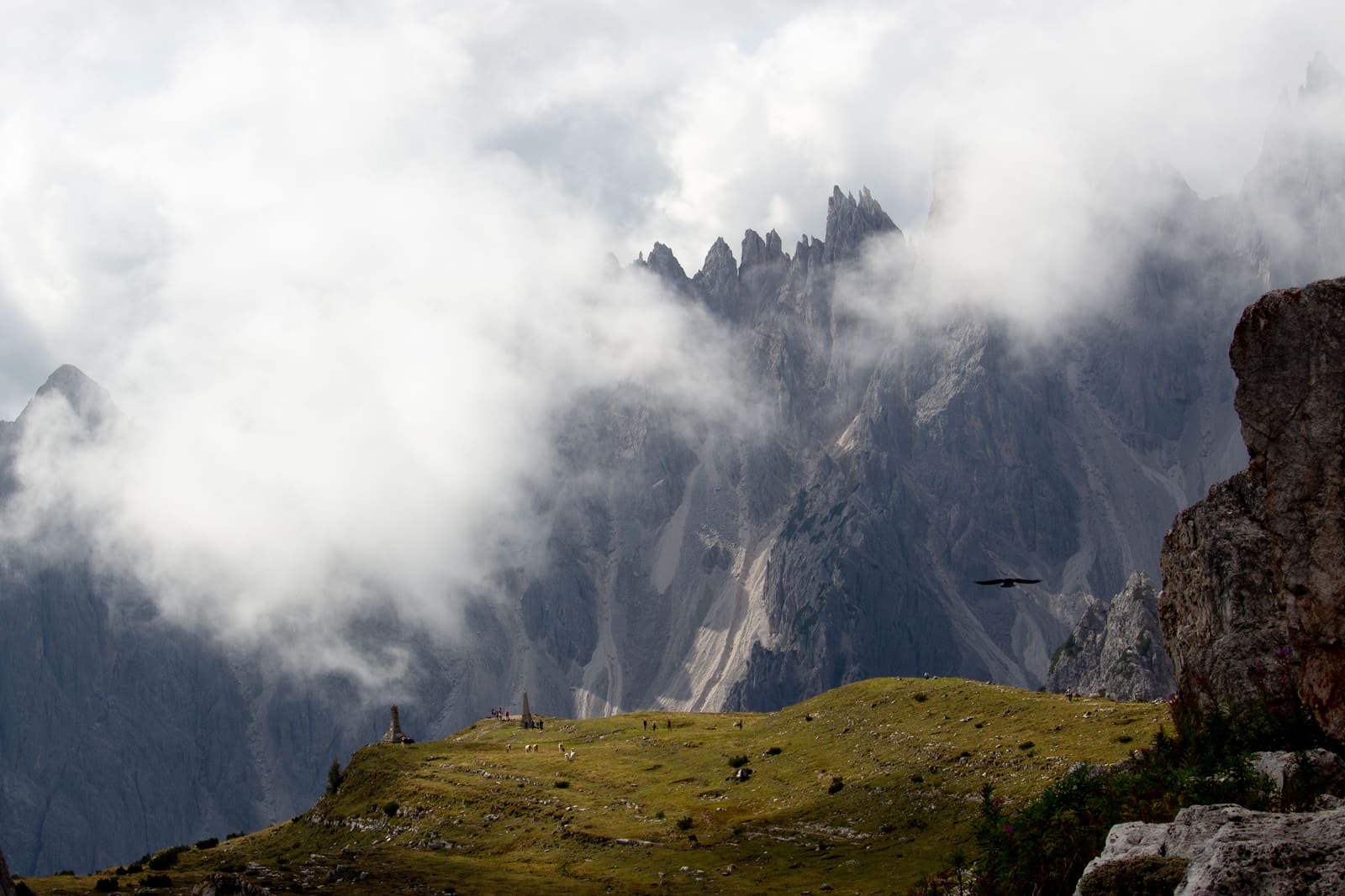 Inside the Diagnostic Detox: Why Neuro-Wellness Retreats Are Redefining Alpine Escapes