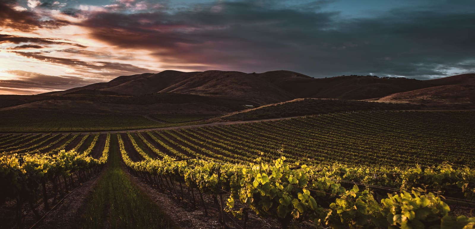 Where the Vines Meet Stillness: Eight Retreats That Redefined Napa Valley