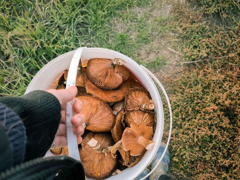 The New Luxury Is Getting Your Hands Dirty