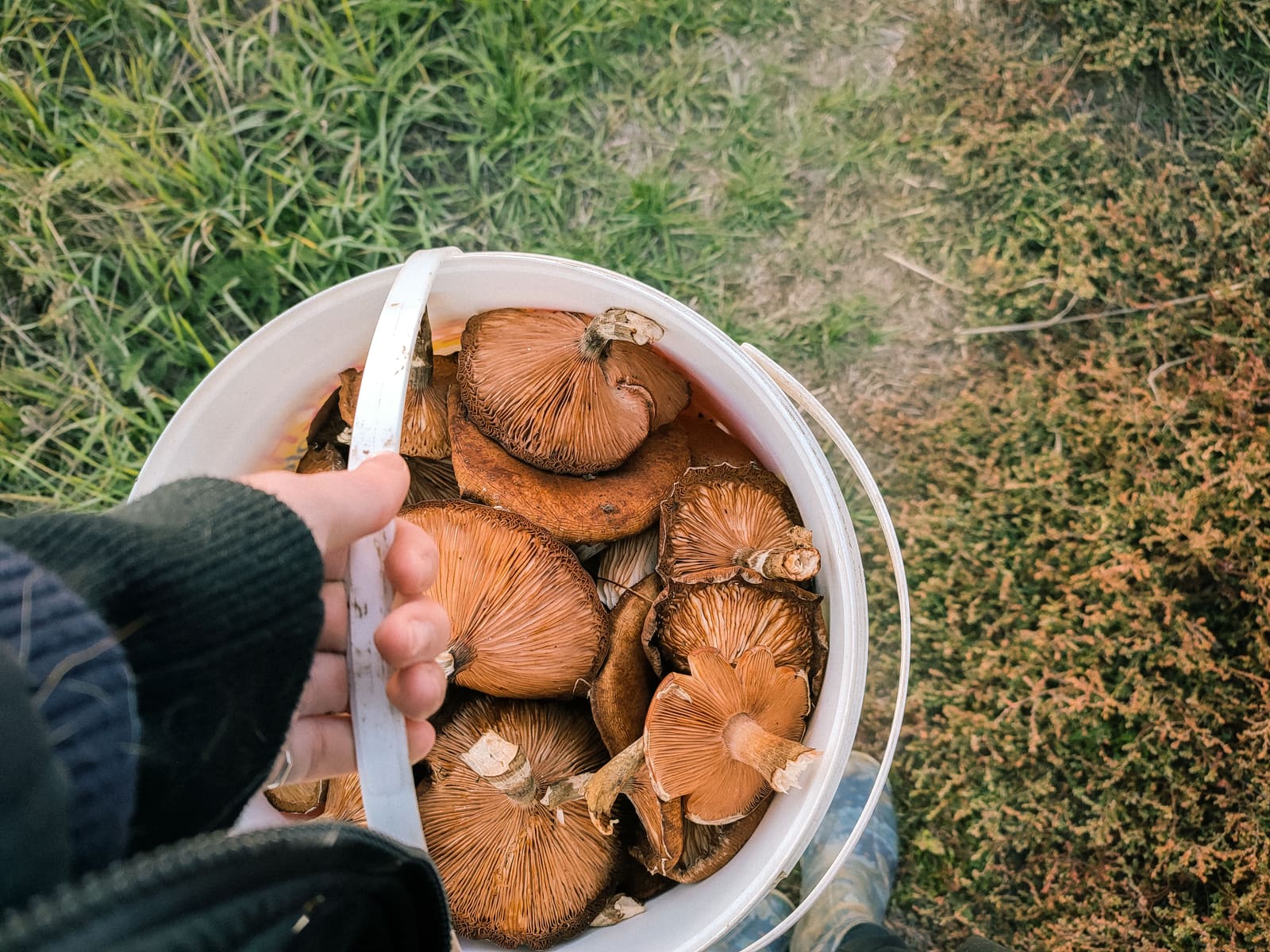 The New Luxury Is Getting Your Hands Dirty