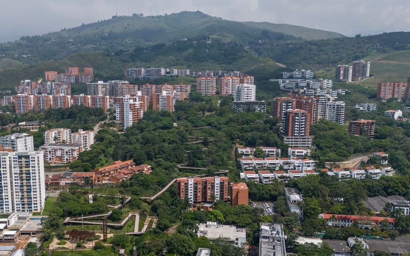 Bridging City and Mountain: How Cali's Latest Urban Forest Reconnects Fragmented Ecologies