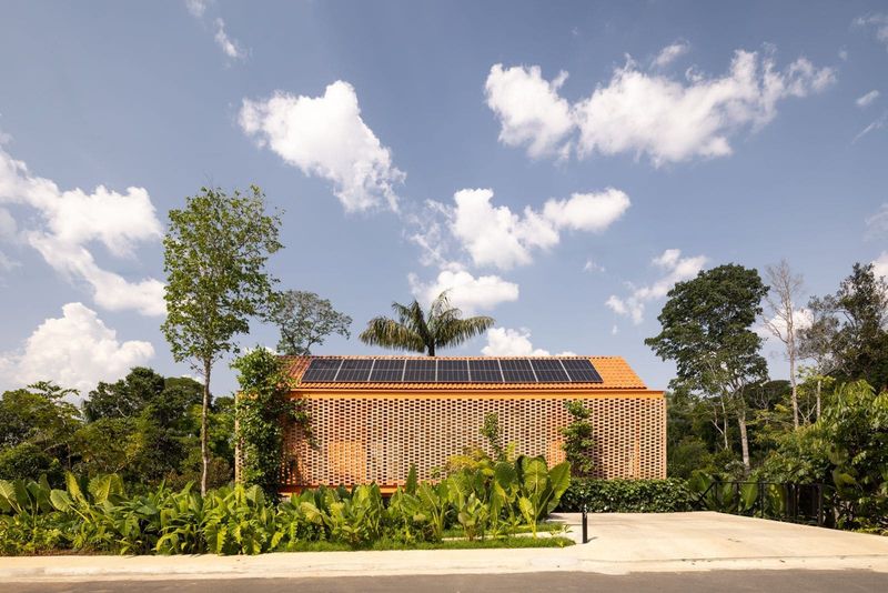 Designing Around a Single Palm: Casa Pupunha's Compact Amazonian Footprint