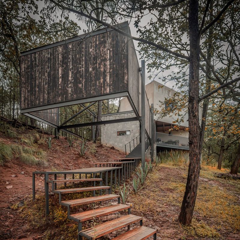 How Site Constraints Shape Form: A Compact Forest Dwelling in Jalisco