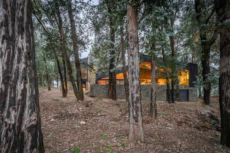 A Lake House in Córdoba Shaped by Eucalyptus and Microclimate