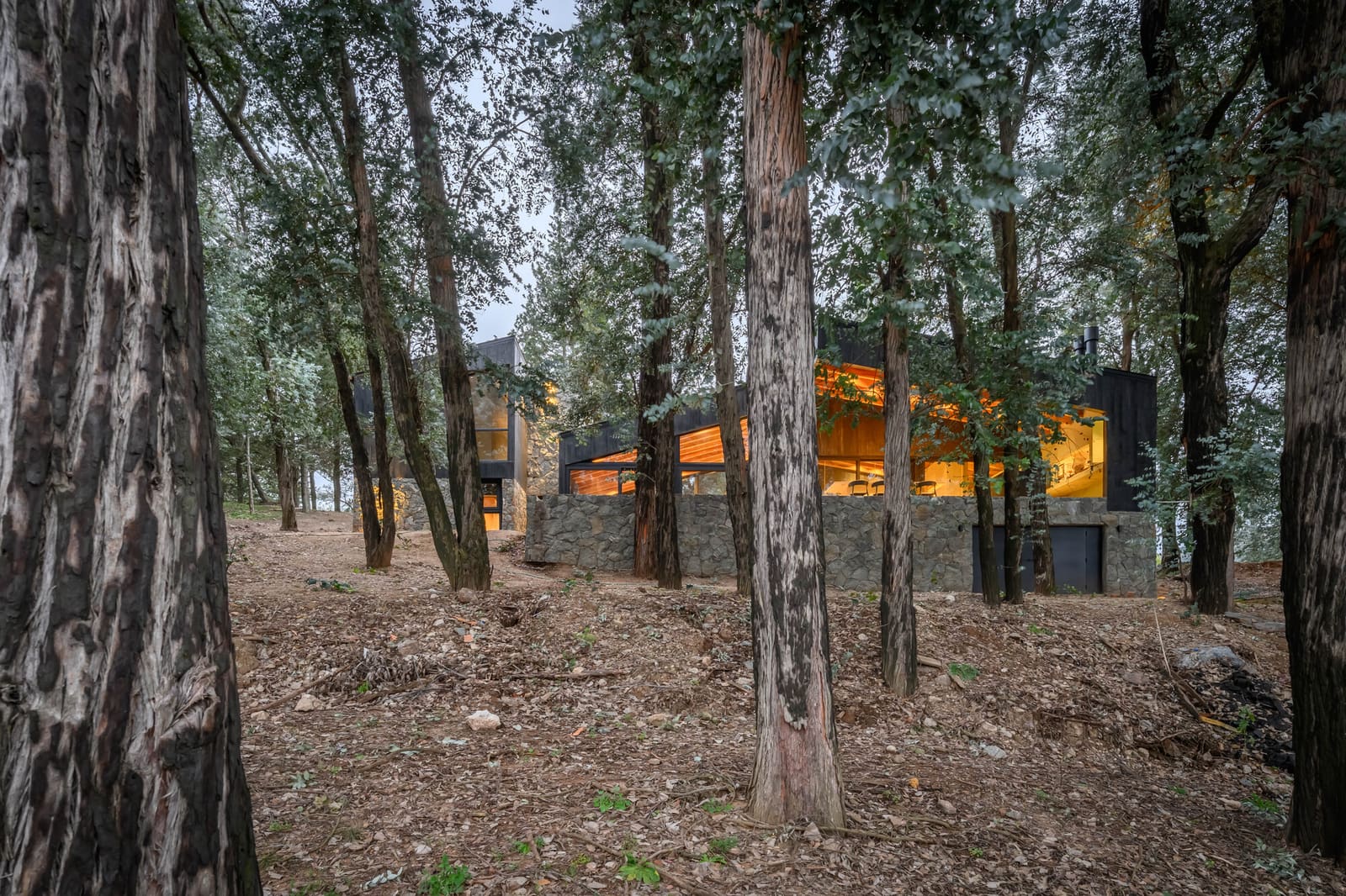 A Lake House in Córdoba Shaped by Eucalyptus and Microclimate