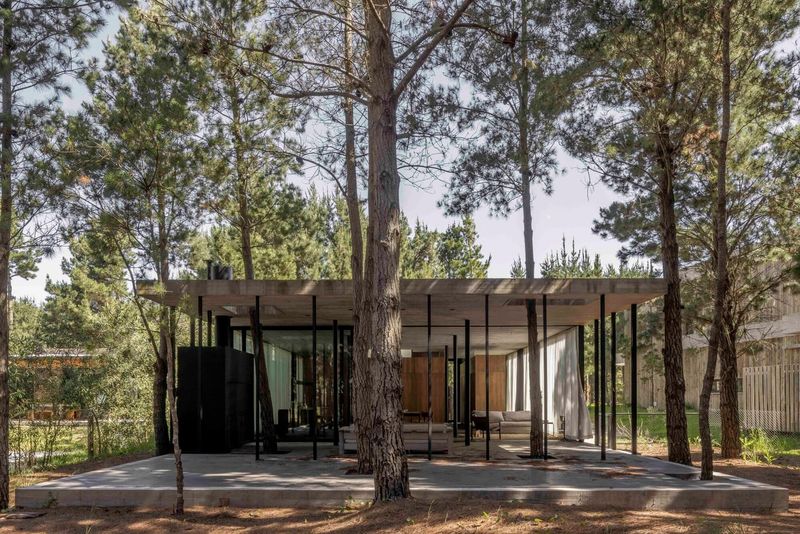 Living Among the Pines: A Summer House Built for Lightness