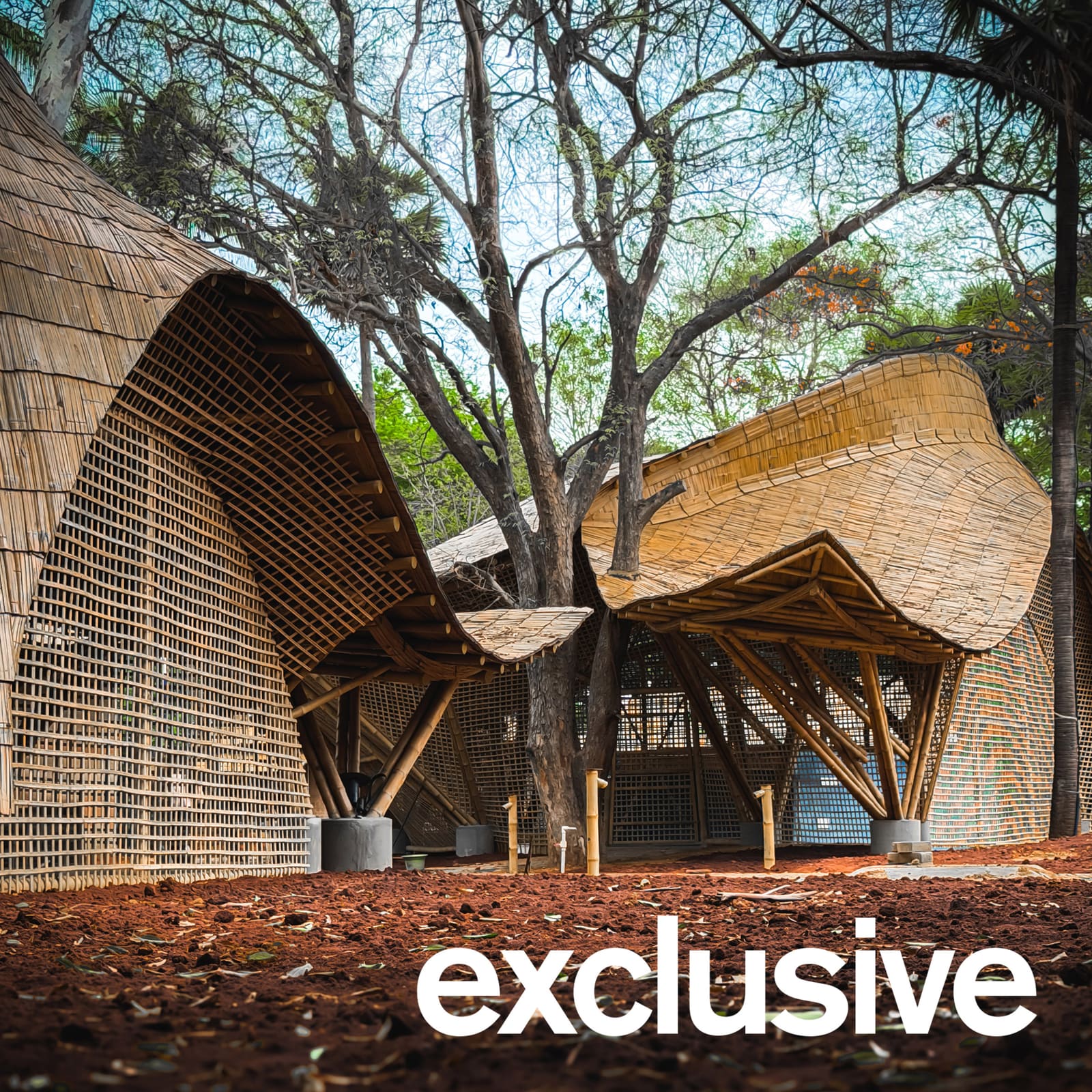 How a Tamil Nadu Music Centre Recasts Bamboo's Place in Institutional Architecture