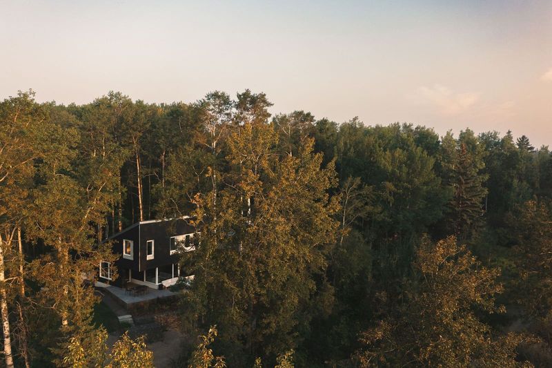 How a Lakeside Cabin Revives the Alberta Summer Tradition