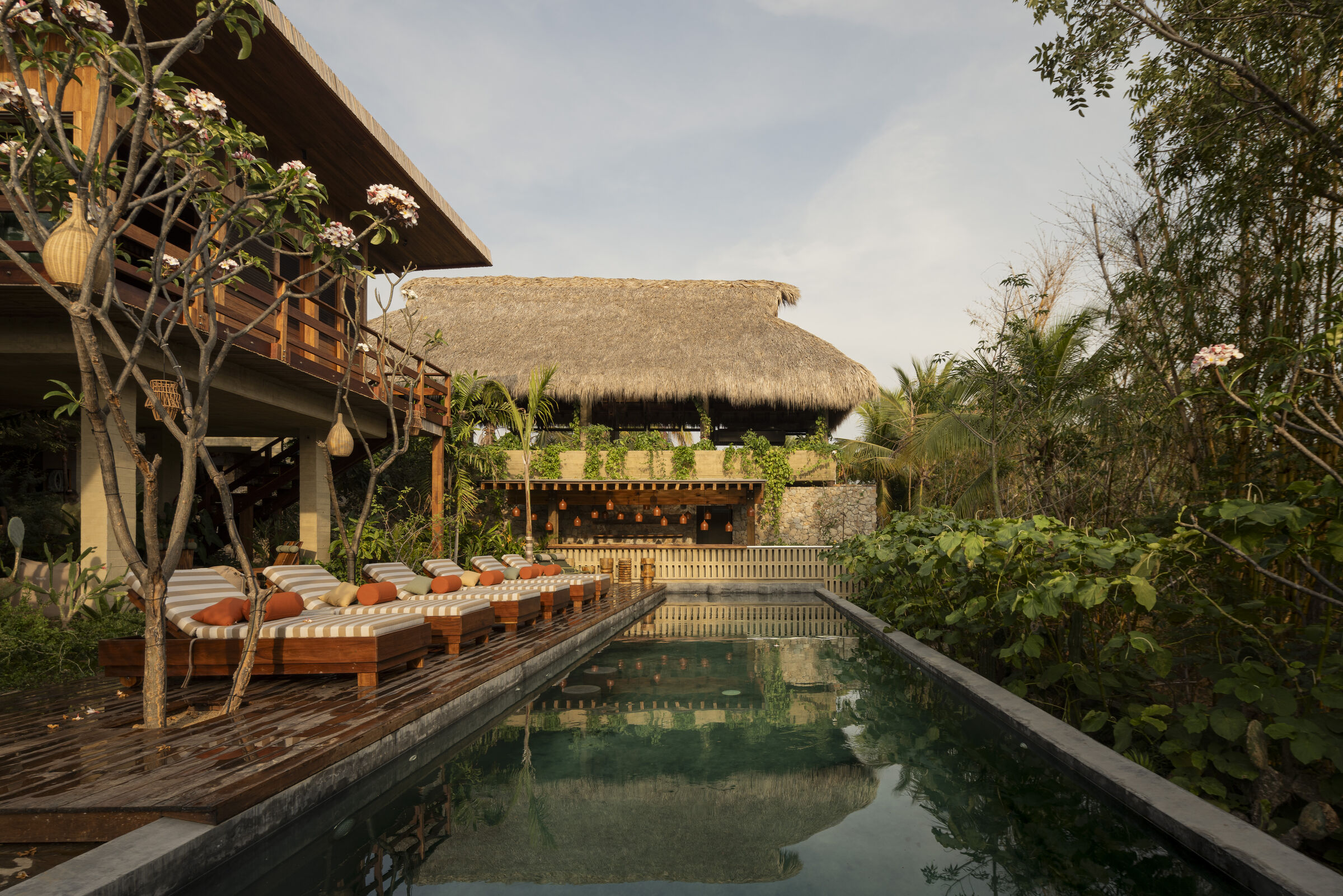 Top Picks - 5 Tropical Resorts Redefining Luxury Through Nature