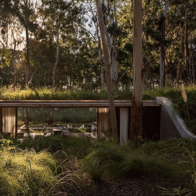 When Architecture Buries Itself: The Return of the Living Roof