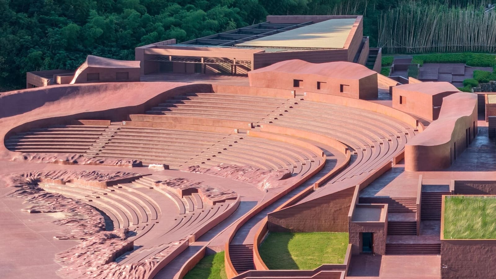 When Birds Shape the Architecture