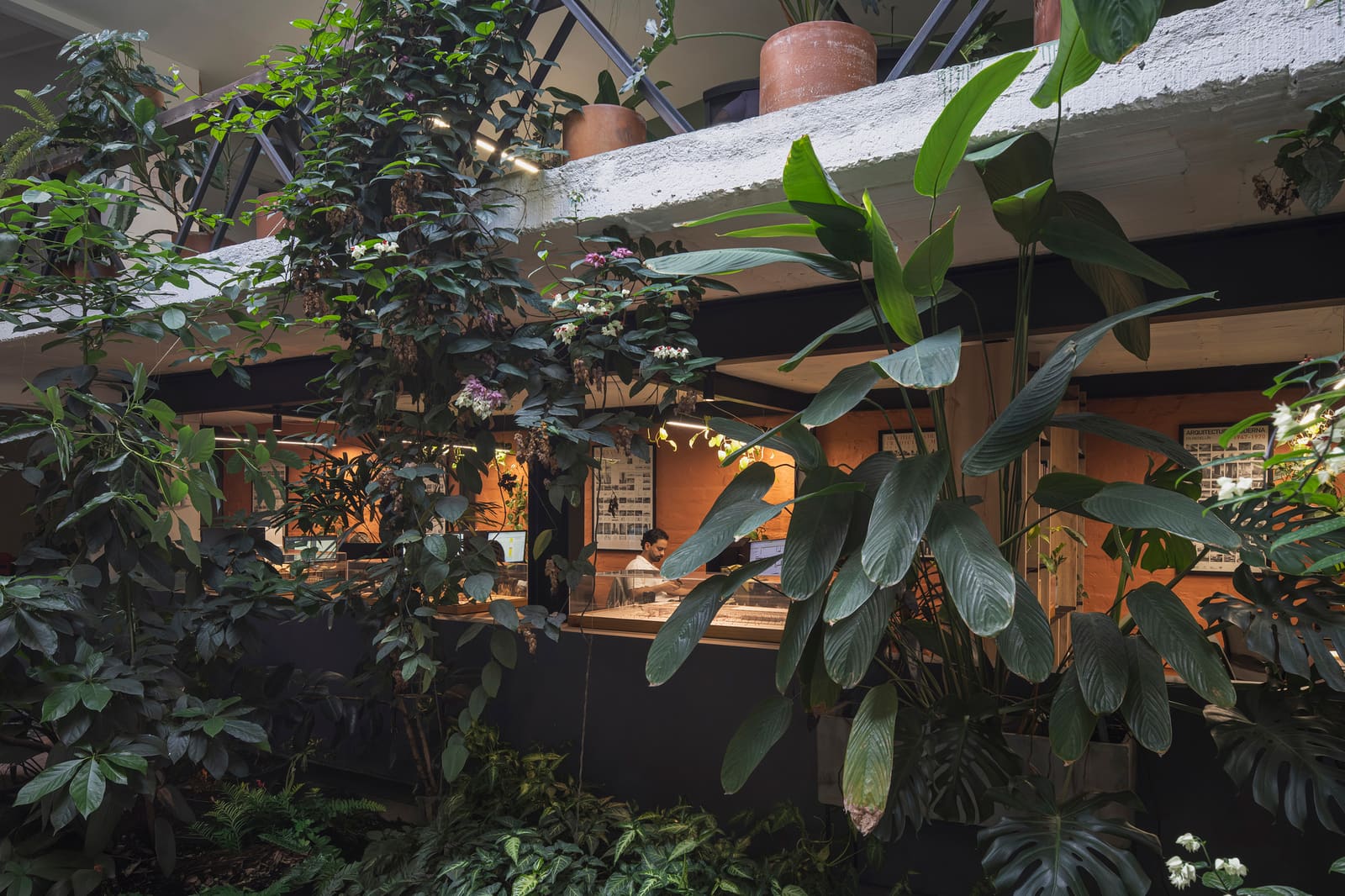 When a Garage Becomes an Office: Adaptive Reuse in Medellín
