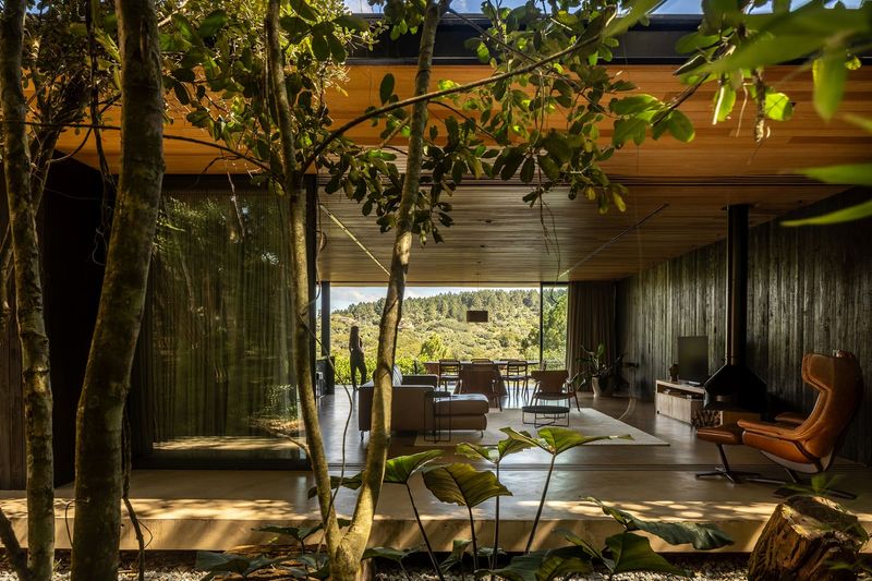 When a House Dissolves Between Forest and Valley