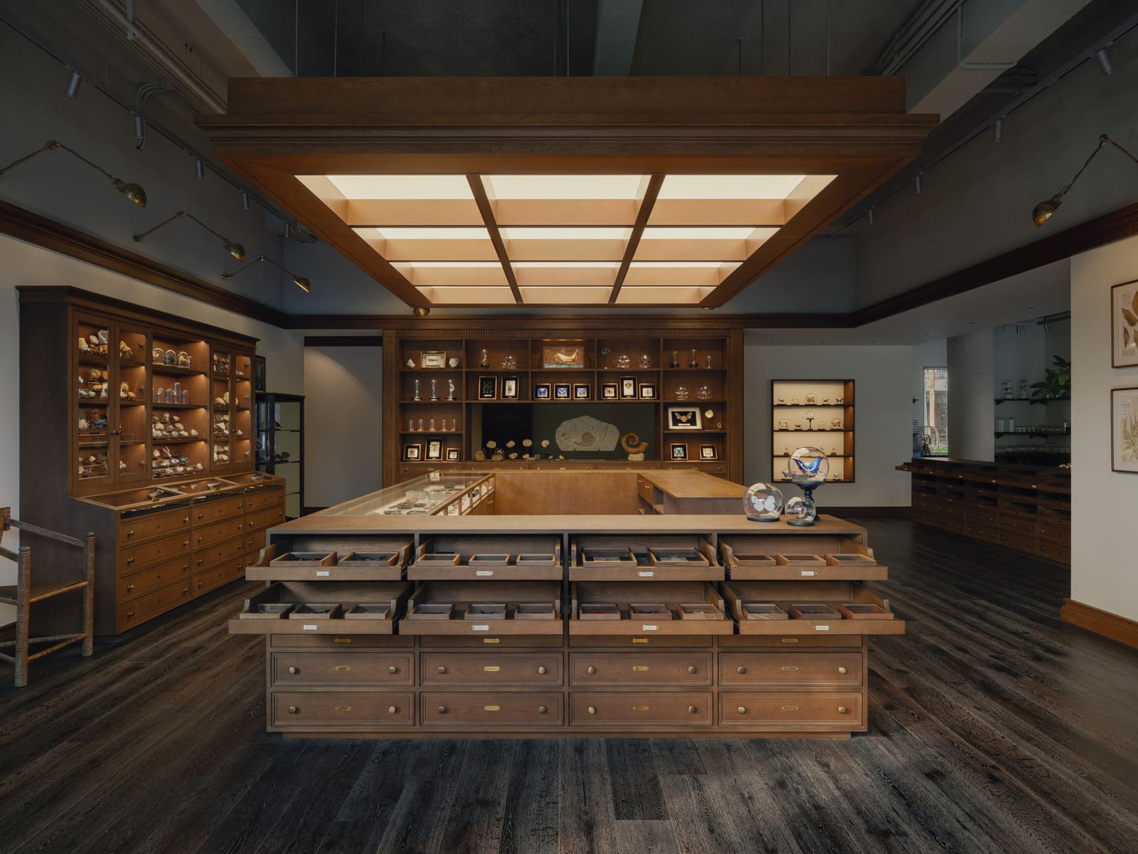 When Raw Concrete Meets Natural History: A Retail Space That Breaks the Museum Mold