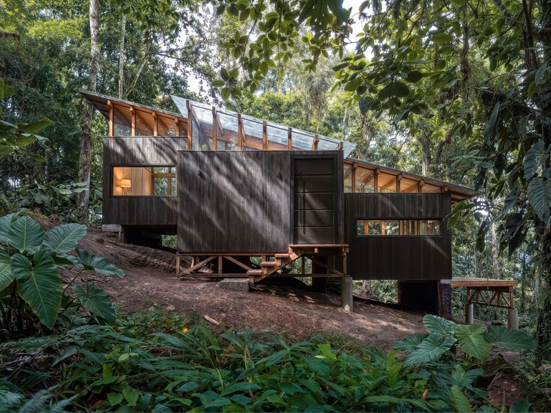 When Topography Becomes Architecture: A 53-Square-Meter Refuge Built Into Ecuador's Sloping Forest