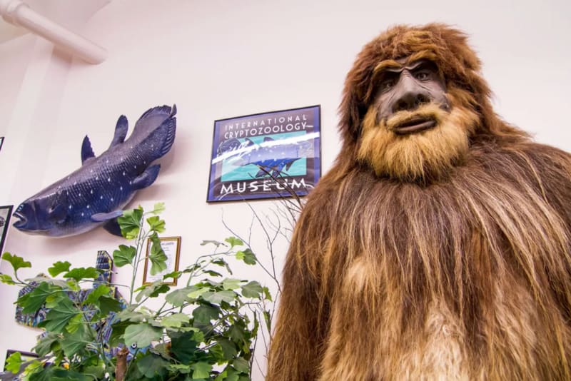 Where to Find America's Cryptid Museums and Monuments