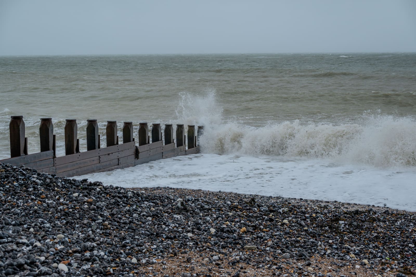 East Anglia's Coastal Restaurants Turn to Warming Seas for Seasonal Seafood