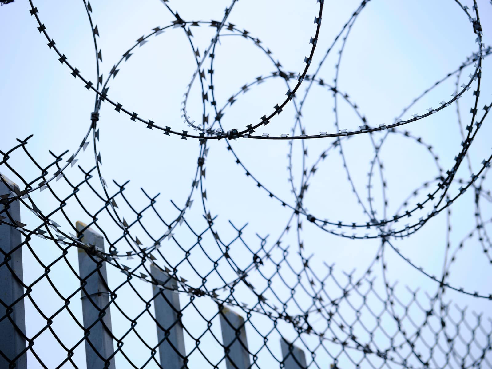 EU Signals Softer Approach to Border Biometric Checks