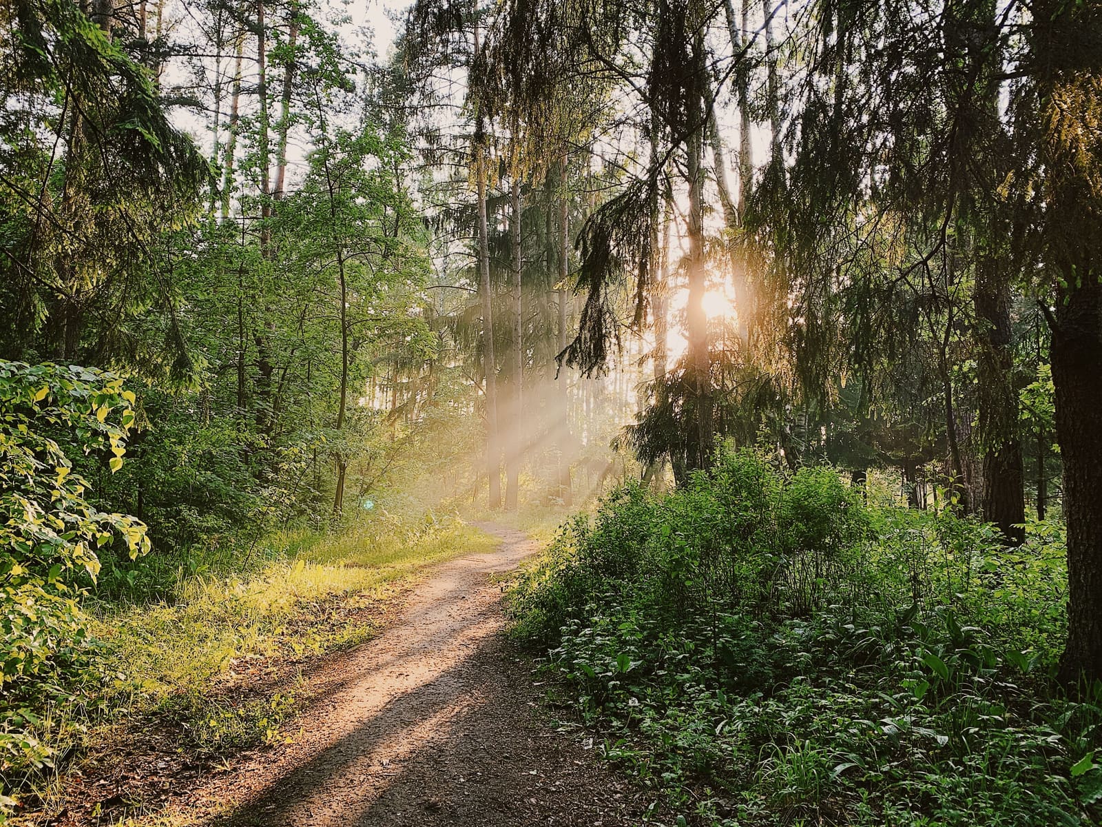 A Massachusetts Retreat Where Autumn and Sauna Culture Meet