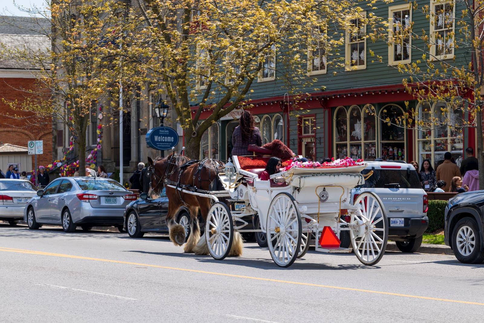 New York to Phase Out Horse-Drawn Carriages After 165 Years