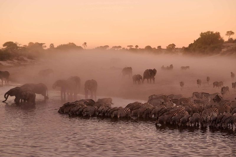 Salt Pans and Stripes: Botswana's Makgadikgadi Offers a Different Kind of Safari