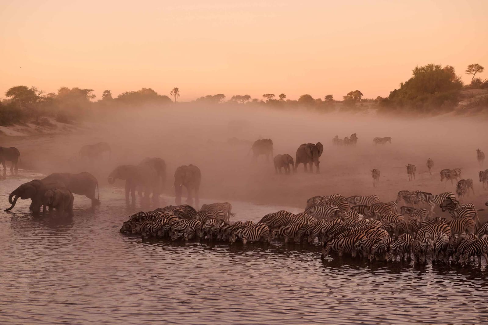 Salt Pans and Stripes: Botswana's Makgadikgadi Offers a Different Kind of Safari