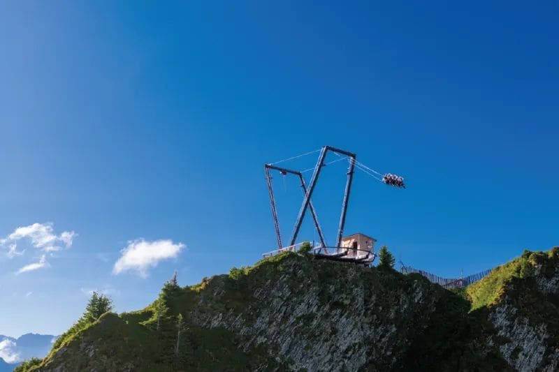 A Swing Built for Uncertain Snow