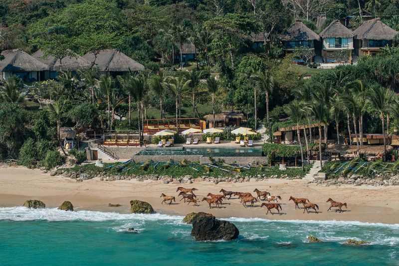 When Horses Become Mirrors: Inside Indonesia's Emotional Healing Retreat