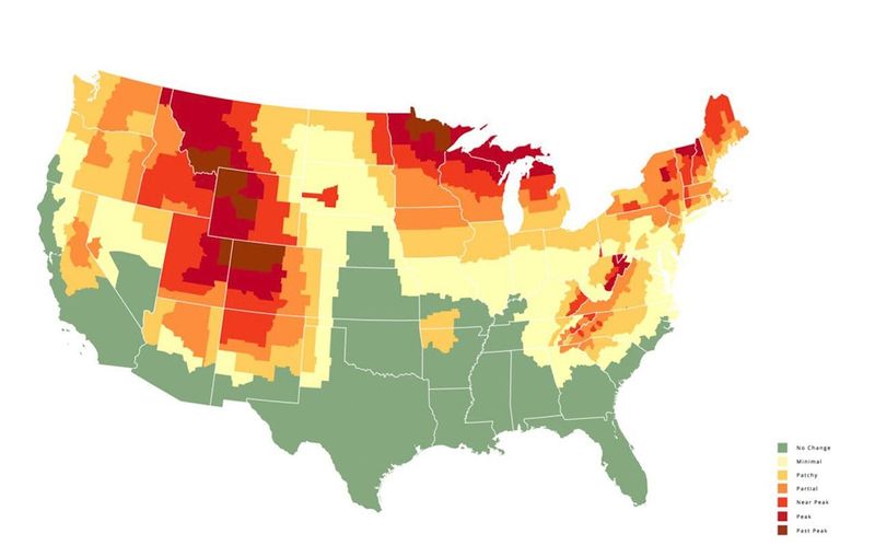 Where Fall Foliage Will Peak First This Year